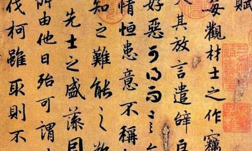 螺藻是什么东西-袋装螺藻吃法网 | 螺旅藻怎么做好吃,袋装螺藻吃法有哪些