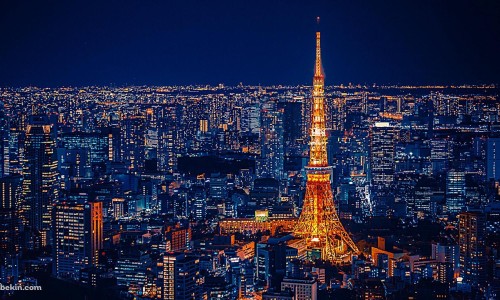 袋装螺藻吃法网 | 螺旅藻怎么做好吃,袋装螺藻吃法有哪些