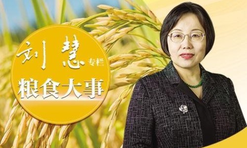 螺旋藻的吃法与做法-袋装螺藻吃法网 | 螺旅藻怎么做好吃,袋装螺藻吃法有哪些